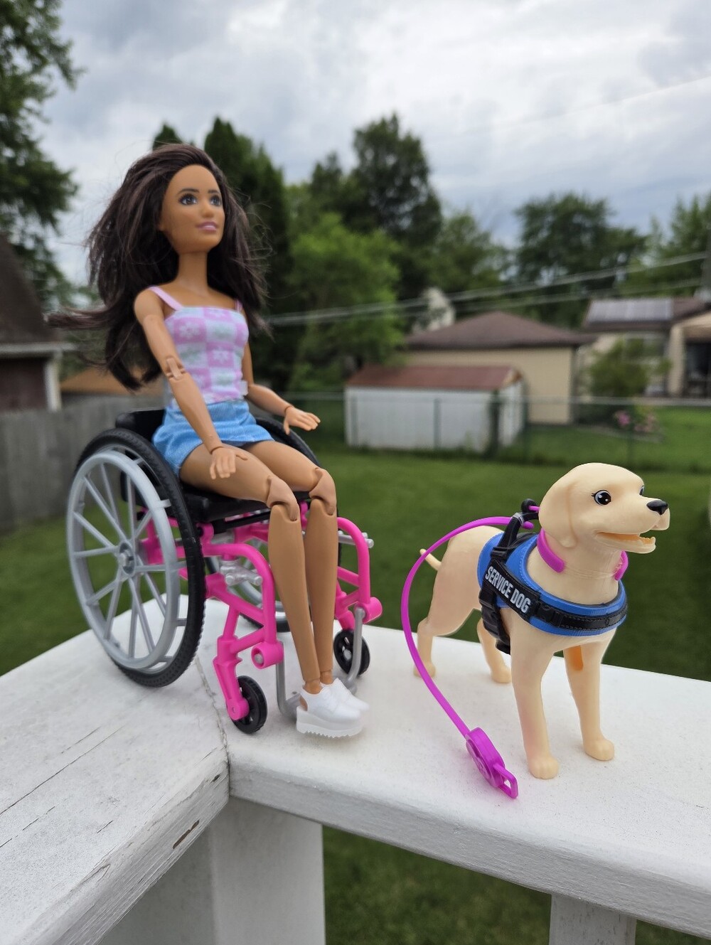 Mattel Barbie Wheelchair Doll & Service Dog Set Brunette Articulated Made to Mov